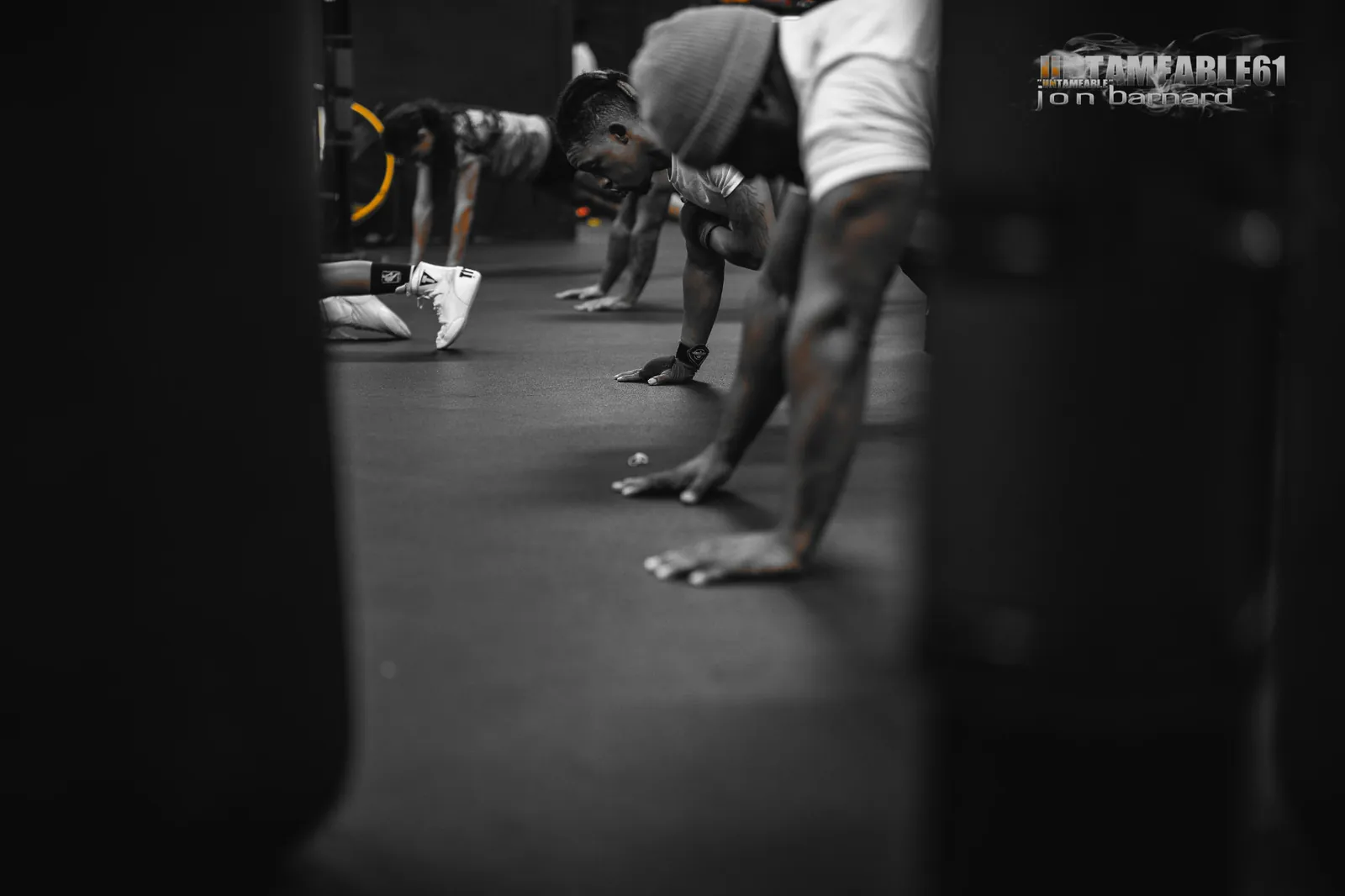 Boxers doing push-ups between the heavy bags
